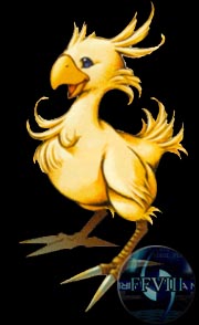 chocobo